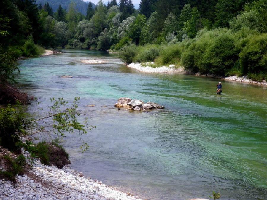 Rems Bohinj Exterior foto